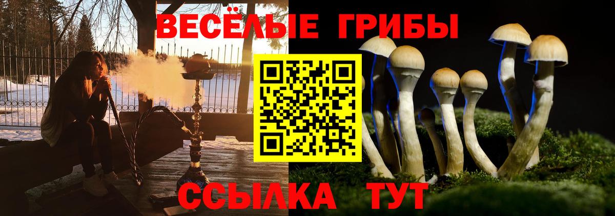 Галлюциногенные грибы прущие грибы  Вход с VPN  сколько стоит  Орехово-Зуево  Галлюциногенные грибы ЛСД 